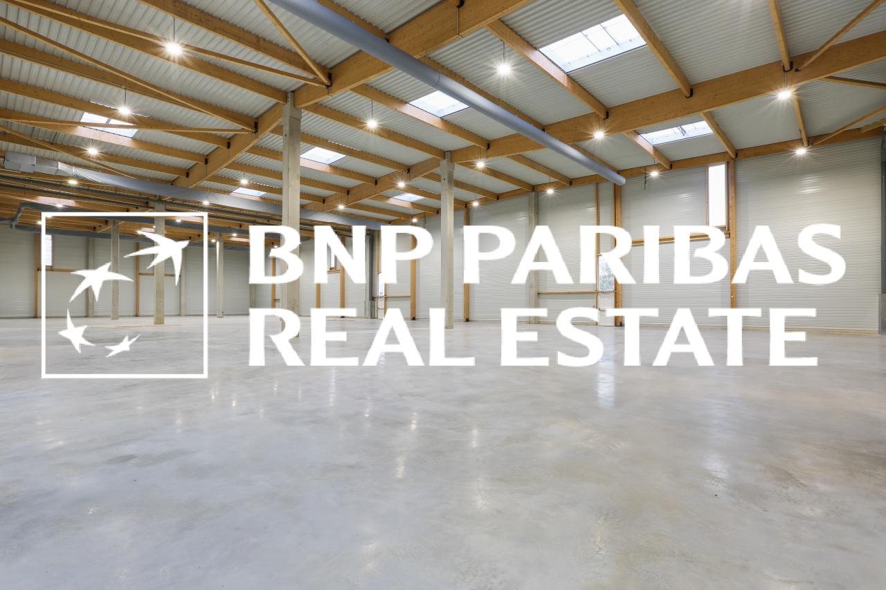 Local d'activité Moissy-Cramayel 2129m² Location local d'activité Moissy-Cramayel Seine-et-Marne OLACT2201095 4
